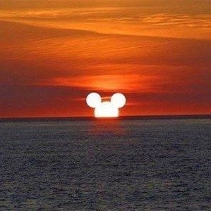 Meet your Posher, Sue